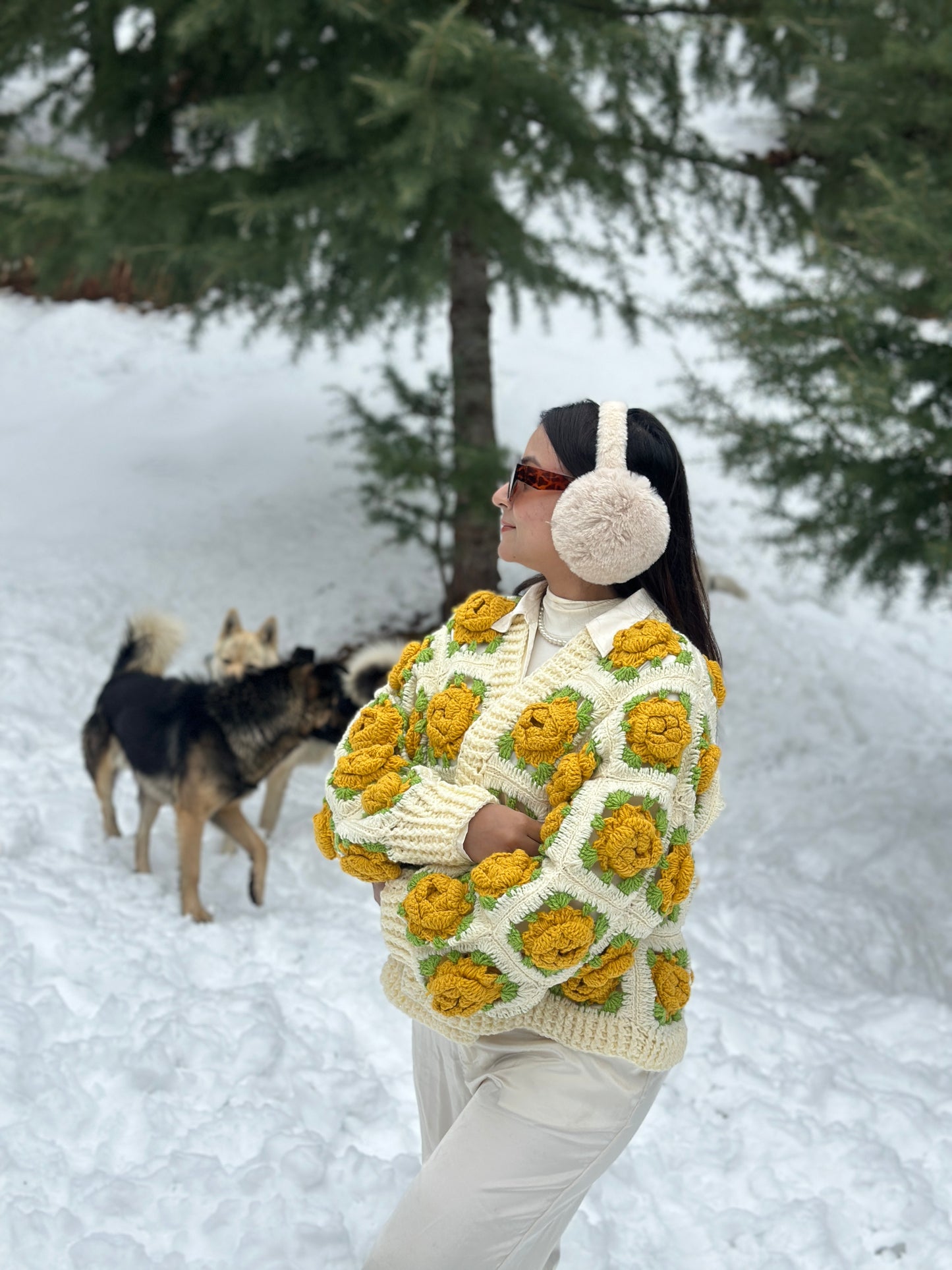 Rosa Foetida Garden Cardigan