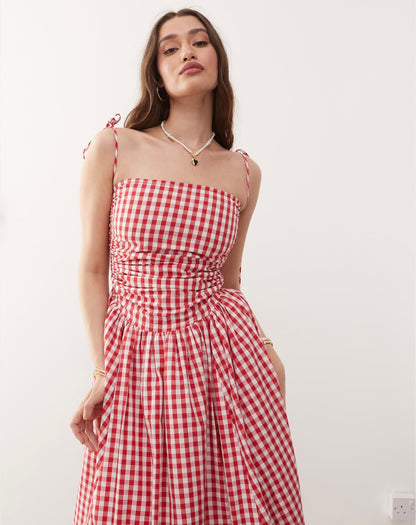 January Ghingham Girlfriend Dress