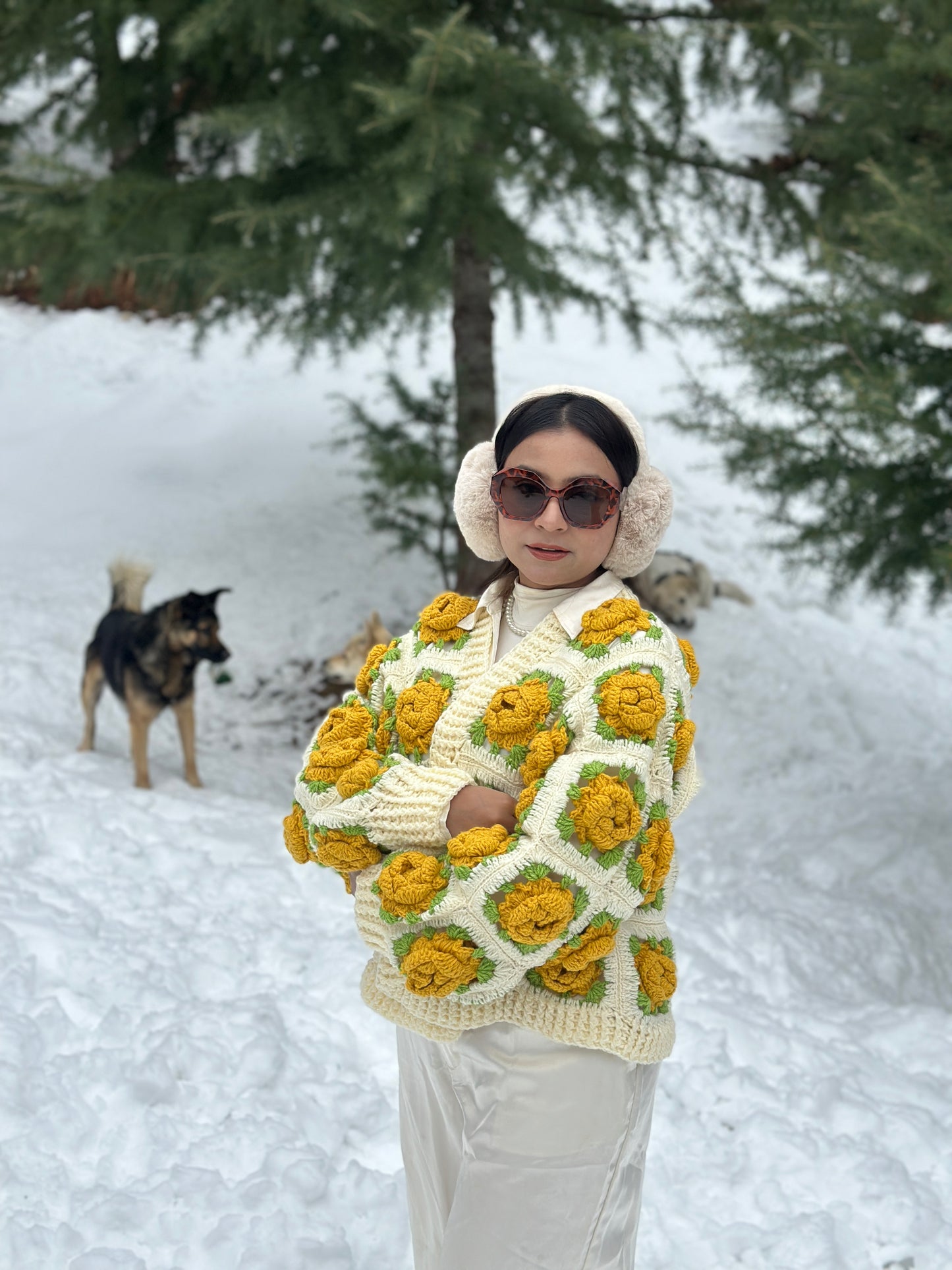 Rosa Foetida Garden Cardigan